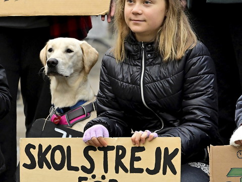 Greta Thunberg et 600 jeunes traînent la Suède en justice