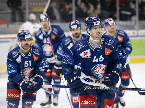 NL: les Zurich Lions intraitables dans leur nouvel écrin