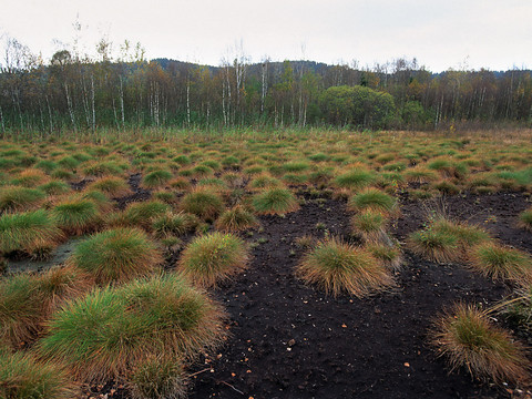 Les financements pour la nature doivent plus que doubler d'ici 2025
