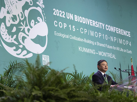 COP15: encore aucune avancée majeure à la mi-parcours