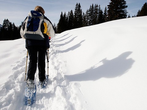 Amateurs de sports de neige invités à respecter la faune sauvage