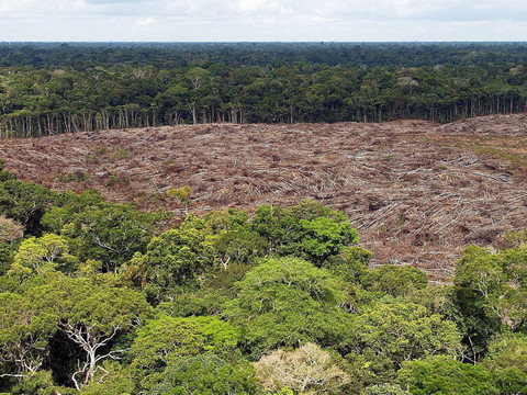 L'espoir d'un accord ravivé à la COP15 sur la biodiversité