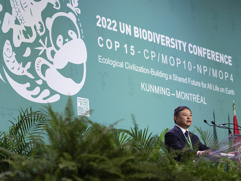 Un accord historique sur la biodiversité approuvé à la COP15