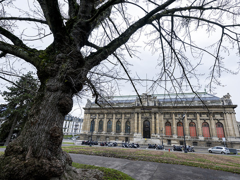 Crédit de 19,9 millions pour étudier l'extension du MAH de Genève