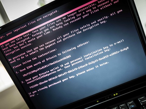 Winbiz remonte la pente après une cyberattaque