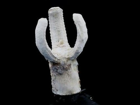 Imprimer une peau de robot qui se répare toute seule