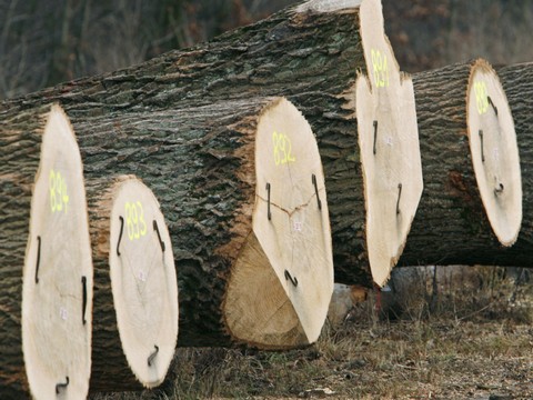 Embellie pour les perspectives de l'économie suisse