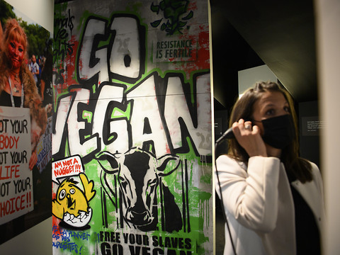 L'action Veganuary stimule les ventes de produits vegan en janvier