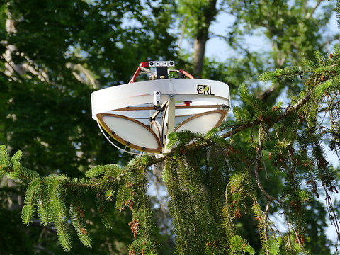 Un drone pour collecter de l'ADNe sur les arbres