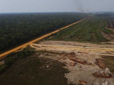 L'activité humaine, moteur de la destruction de l'Amazonie (étude)