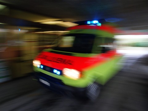 Davantage d'appels pour intoxications aux champignons en 2022