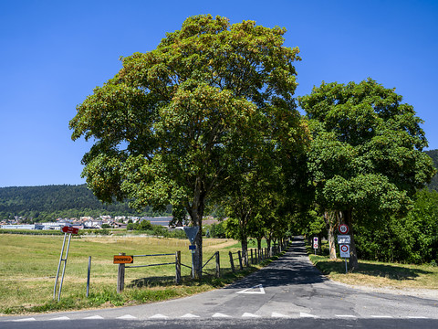 La population neuchâteloise augmente pour la 2e année consécutive