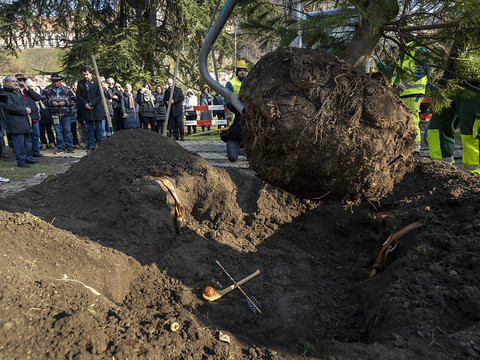 La Confédération Haudenosaunee offre un Arbre de la paix à Genève