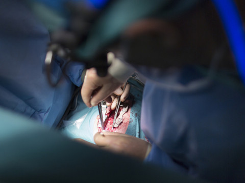 Le taux d'infections contractées à l'hôpital reste stable