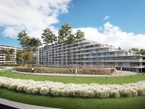 Près de deux tiers des ménages vivent dans des logements locatifs