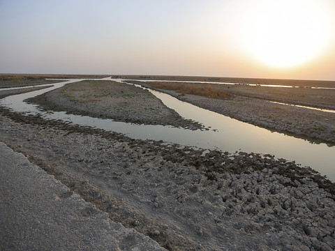 Irak: baisse alarmante du débit du Tigre et de l'Euphrate dans le sud