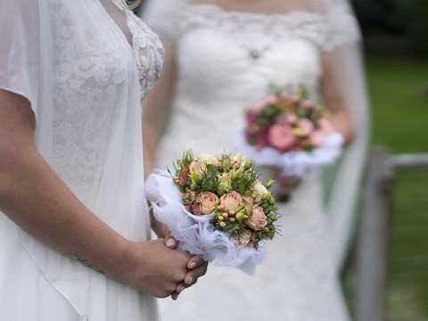 La Cour suprême refuse le mariage homosexuel: 