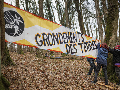Des militants écologistes occupent une forêt à Vufflens-la-Ville