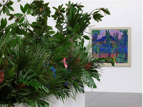 La splendeur éphémère des fleurs au Kunsthaus d'Aarau