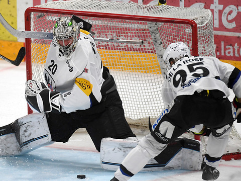 Fin de saison abrupte pour Fribourg-Gottéron