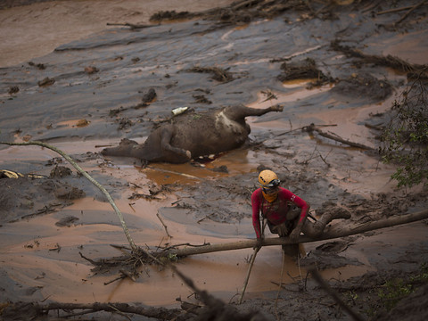 BHP risque une lourde amende pour une catastrophe environnementale