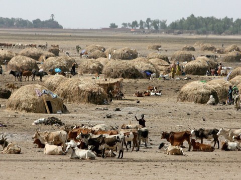 Sahel central: dix millions d'enfants menacés par l'insécurité