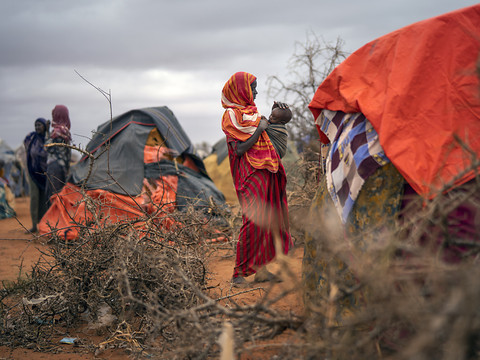 La sécheresse en Somalie pourrait provoquer 135 morts par jour