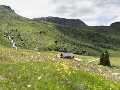 Une commission refuse le contre-projet à l'initiative biodiversité