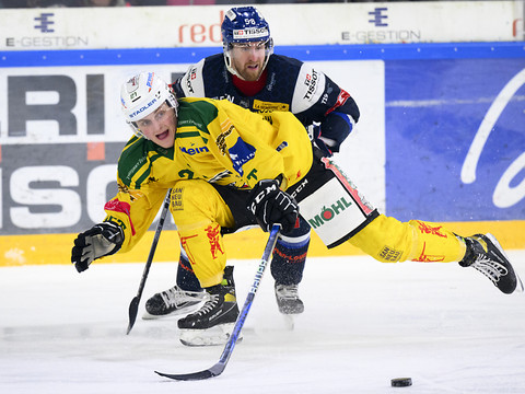 Dominik Binias à Fribourg-Gottéron,