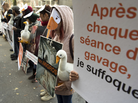 Tour de vis en vue sur les déclarations d'origine du foie gras