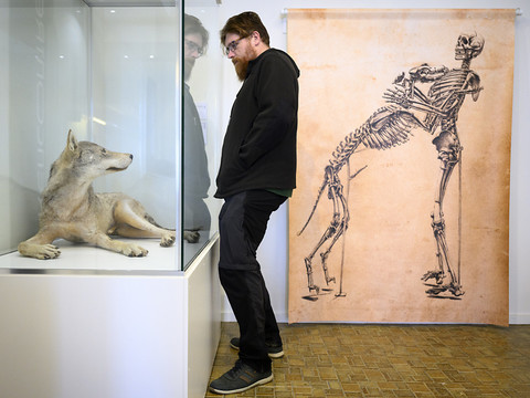 A Sion, une expo interroge la frontière entre culture et nature