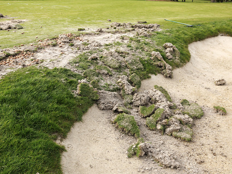 Plusieurs golfs romands labourés par des activistes