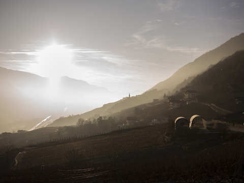 Vers un vignoble valaisan 