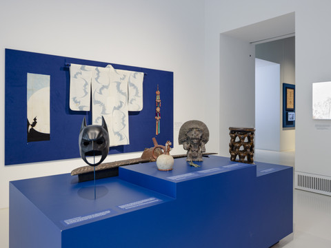 La nuit au Musée des cultures de Bâle
