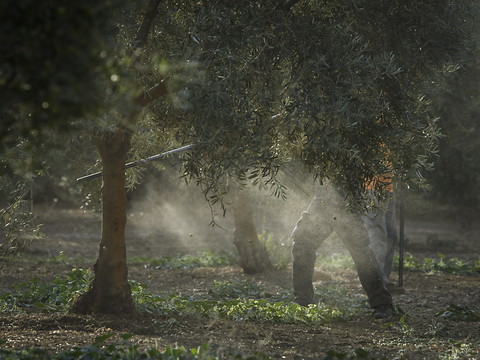 Procession pour la pluie dans l'Espagne en proie à la sécheresse