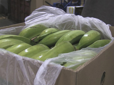 Maxi-coup de filet contre la redoutable mafia calabraise en Europe