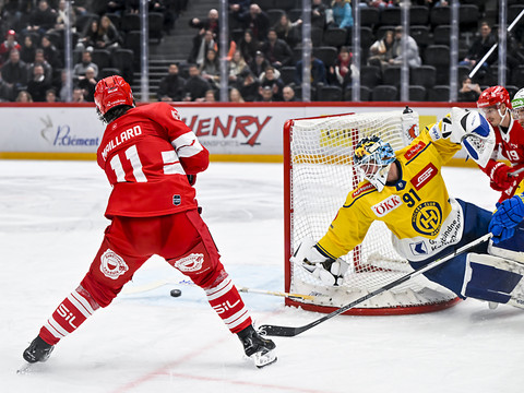 Guillaume Maillard de retour aux Vernets
