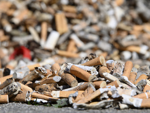 Quinze jours pour partir à la chasse aux mégots