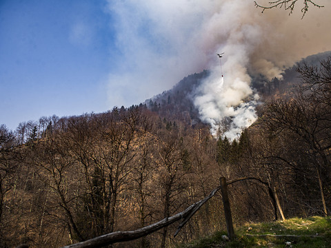 La Rega teste un drone pour mieux combattre les feux de forêt