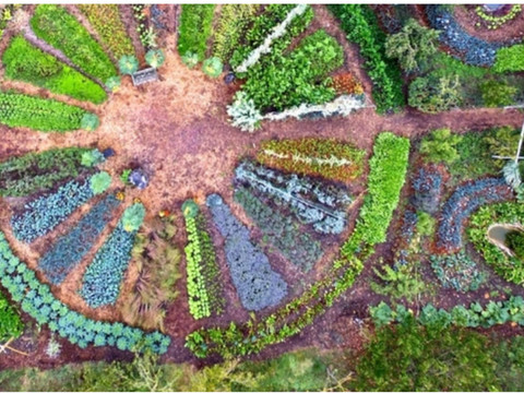 Près de 10'000 visiteurs à la Fête de la nature