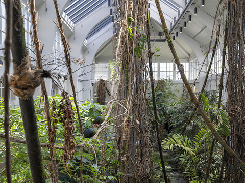 Inauguration du nouveau pavillon des oiseaux au zoo de Bâle
