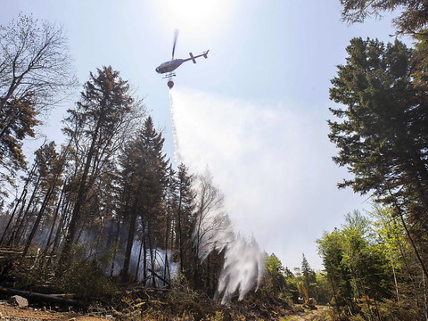 Nouvelle aide de pompiers de l'étranger pour combattre les feux de forêt au Canada