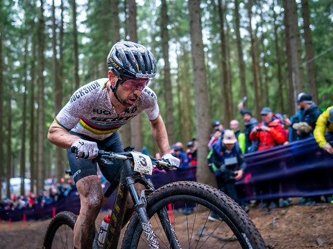 Schurter/Flückiger: retour dans la forêt enchantée