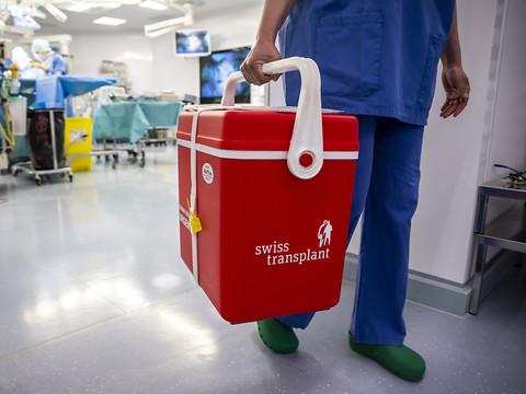 La qualité des organes transplantés doit être davantage surveillée