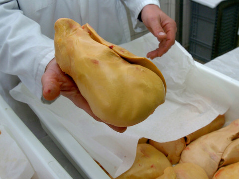 Le Conseil des Etats ne veut pas interdire le foie gras