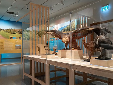 Nouveau Musée d'histoire naturelle de Fribourg (MHNF) plébiscité