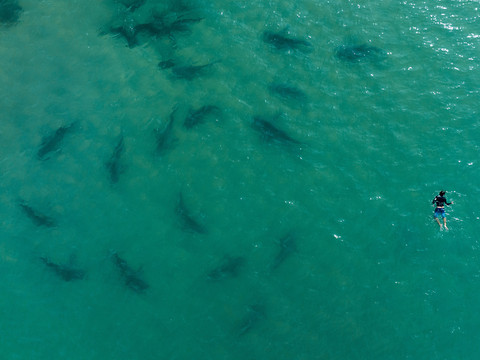 Le traité historique pour protéger la haute mer largue les amarres