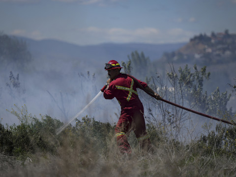 Six millions d'hectares brûlés depuis janvier