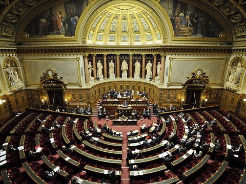 Un cocktail toxique dépisté dans les cheveux des sénateurs français