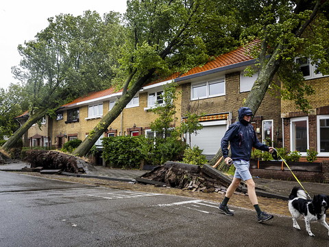 Deux morts aux Pays-Bas et en Allemagne, balayés par une tempête